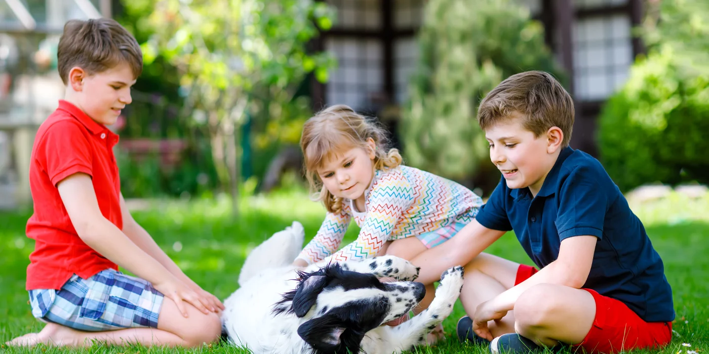 5.7.2024 Omavalvontaohjelman ja -suunnitelman toteutumisen seurantaan perustuvat havainnot kesä